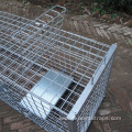 Humane Collapsible Live Animal Trap Cage Fox Traps